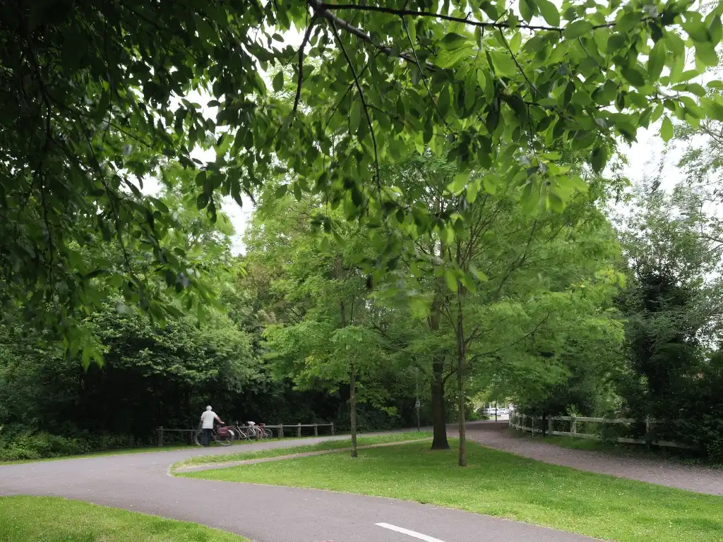 Lichtrijk duplexappartement met 2 slaapkamers nabij het Rozebroekenpark foto 7
