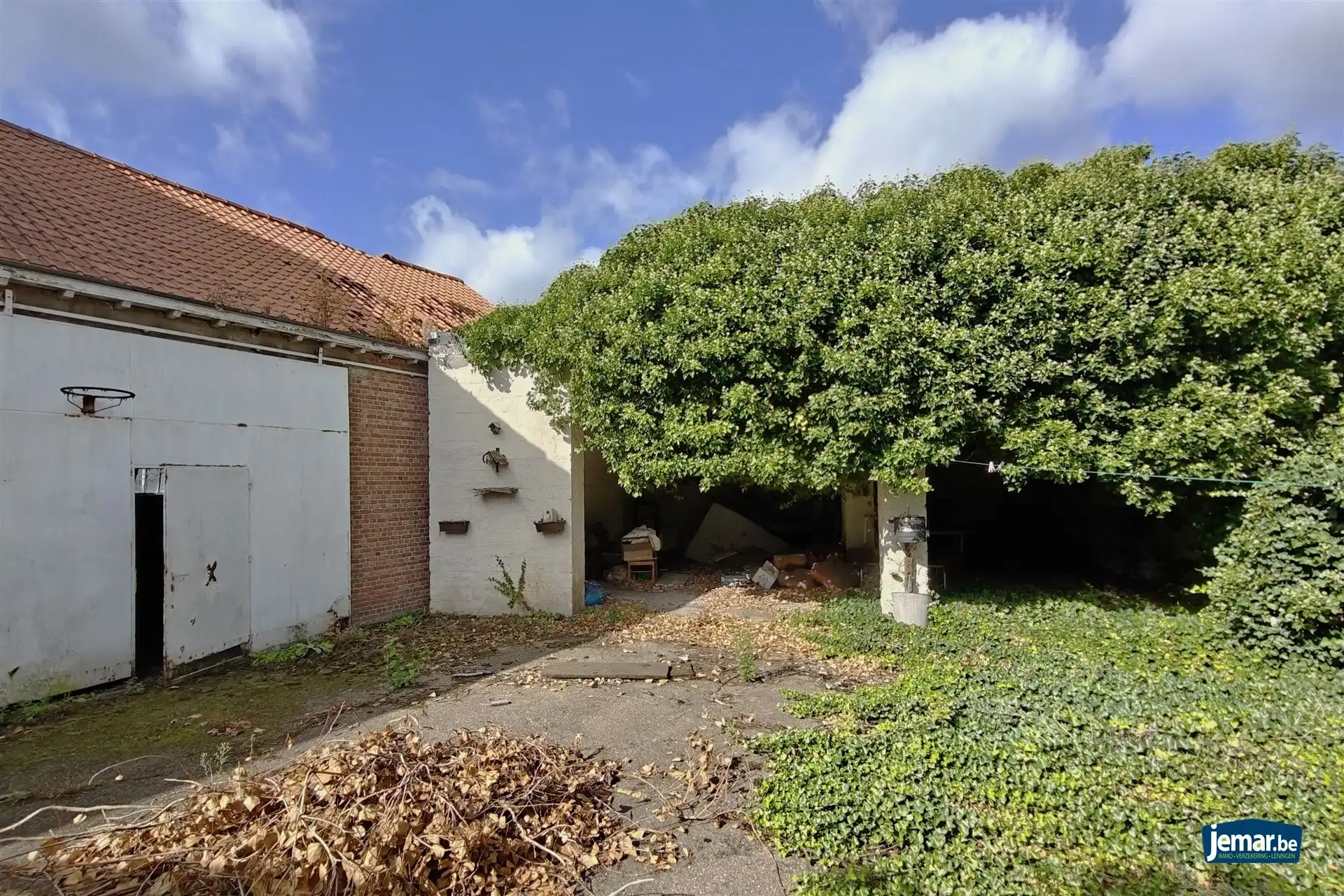 Handelspand met woonst op zeer gunstige locatie te Diepenbeek foto 4