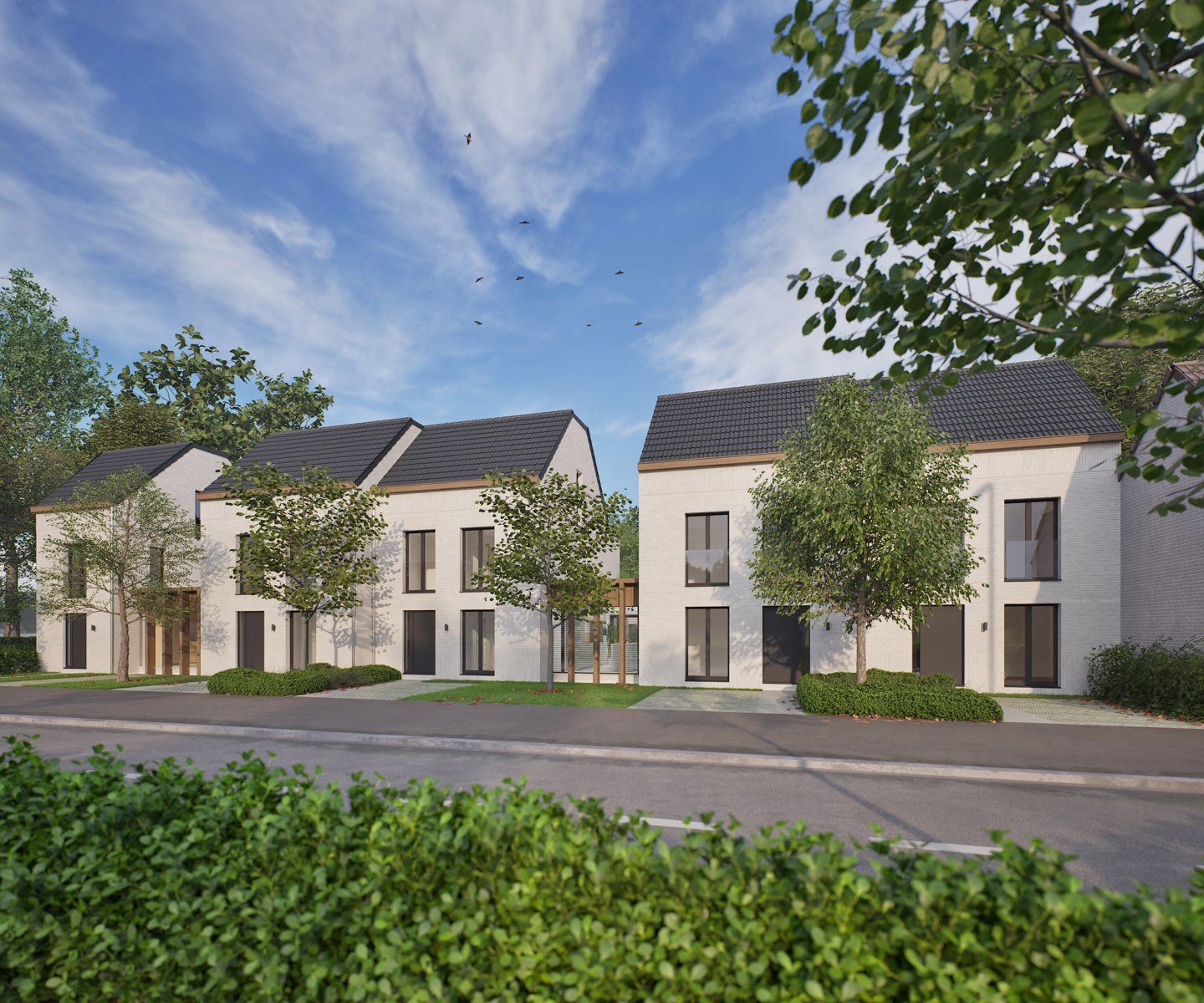 'S GRAEVENHOF - 12 nieuwbouwwoningen met autostaanplaatsen foto 3