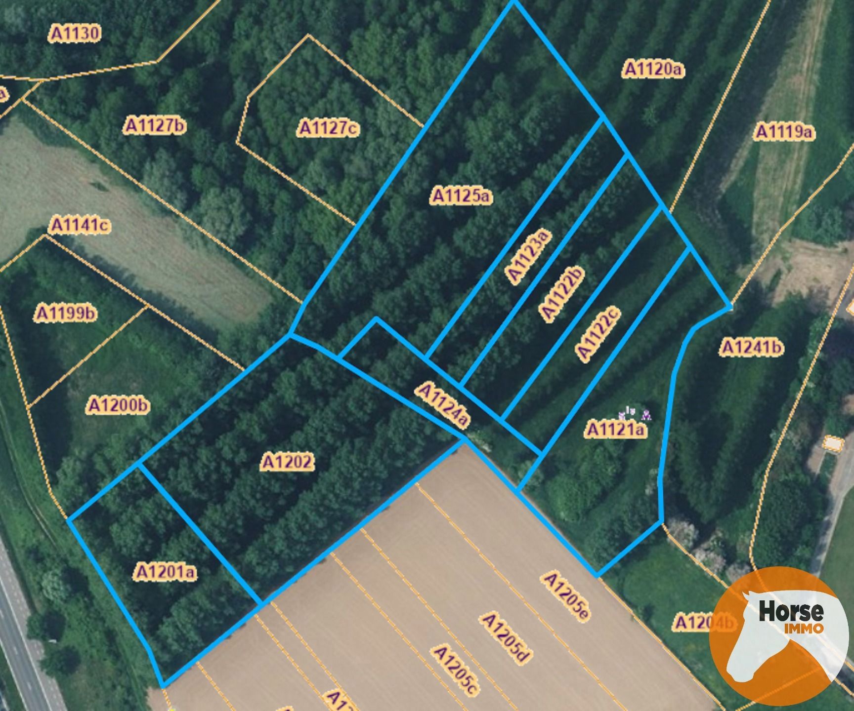 ZOTTEGEM - +/-1,5HA weide en +/- 48are bos foto {{pictureIndex}}
