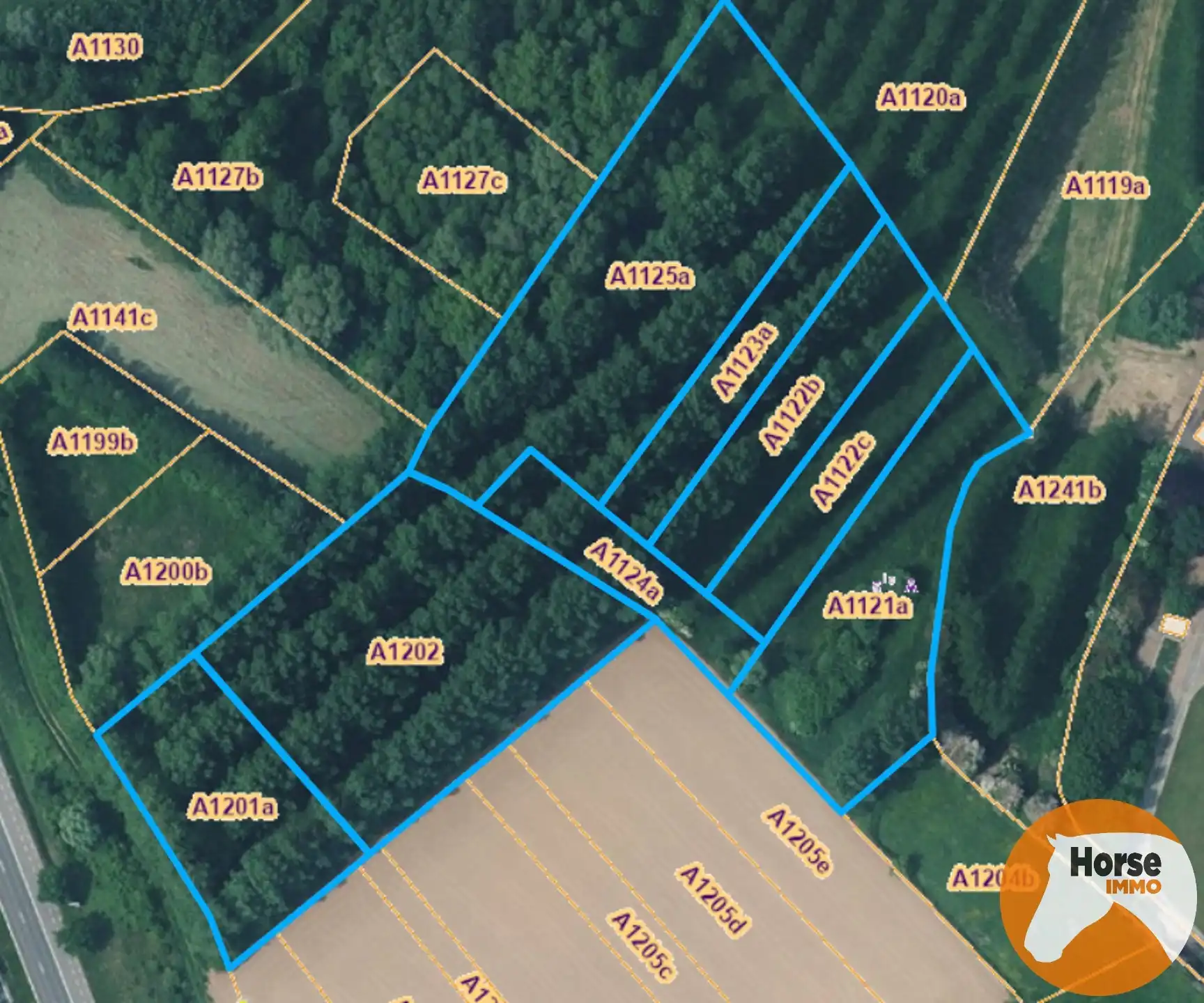 ZOTTEGEM - +/-1,5HA weide en +/- 48are bos foto {{pictureIndex}}