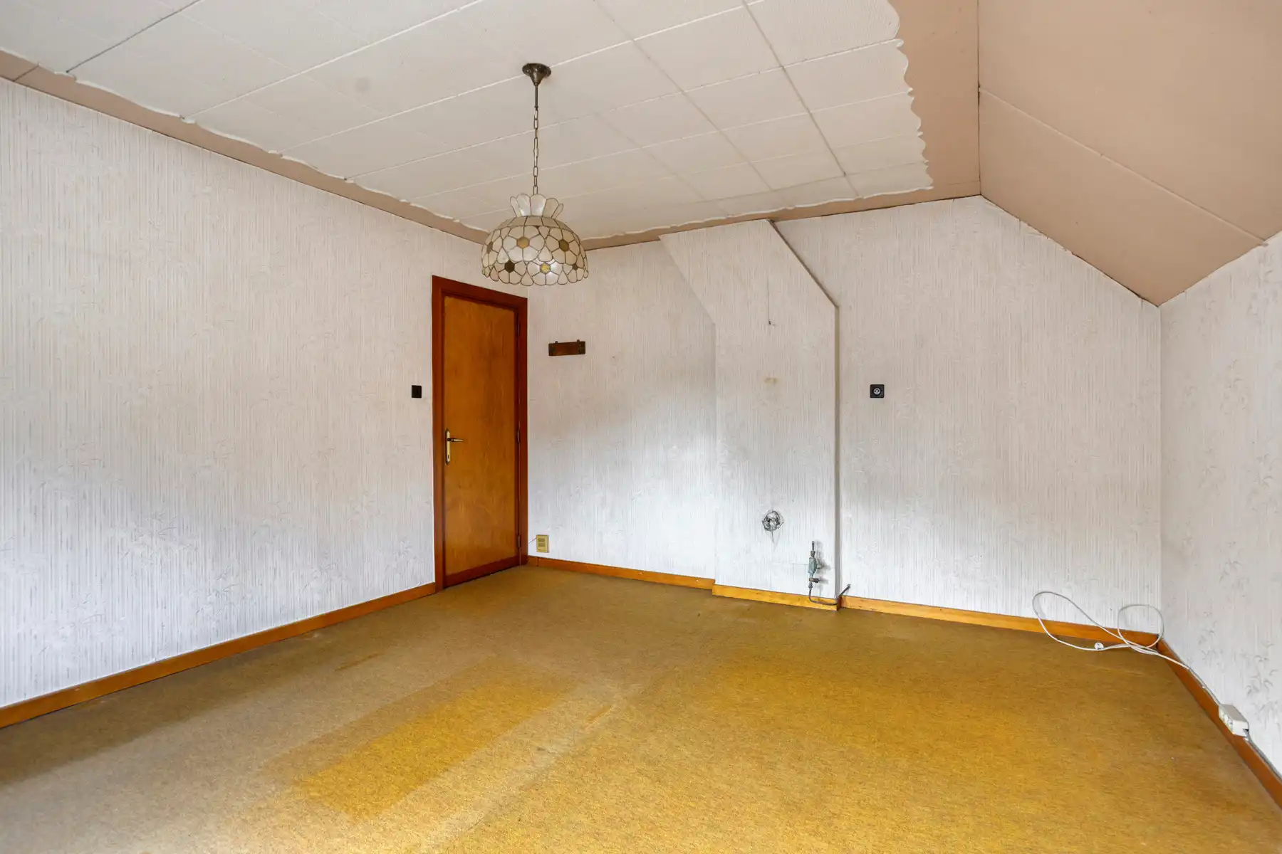 Renovatieproject op rustige groene locatie foto 20