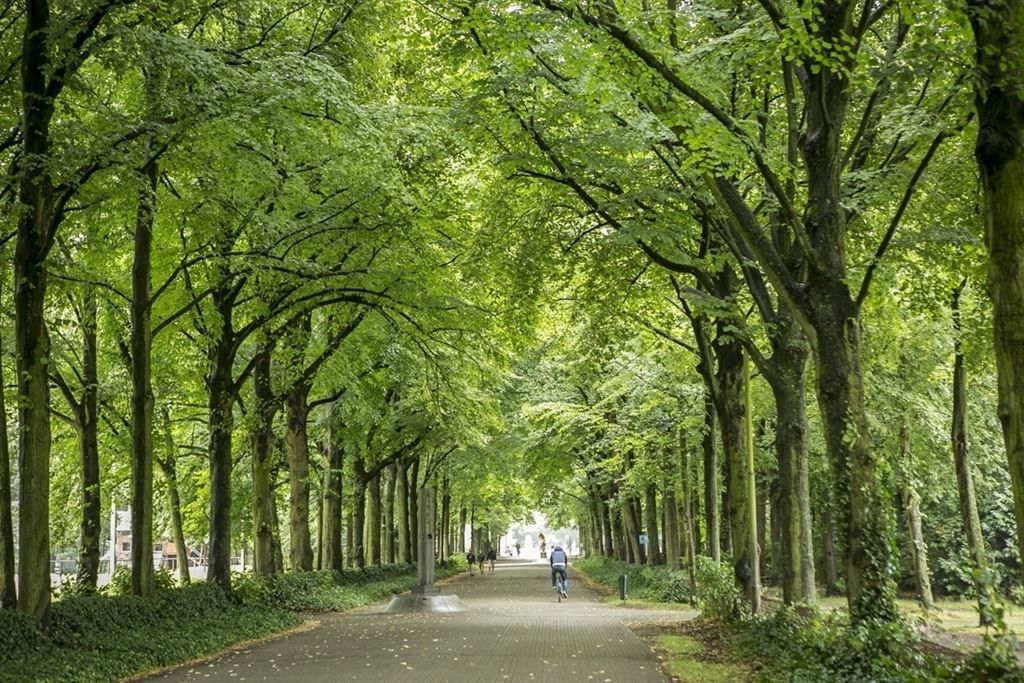 Instapklaar appartement met terras nabij Rivierenhof foto 19