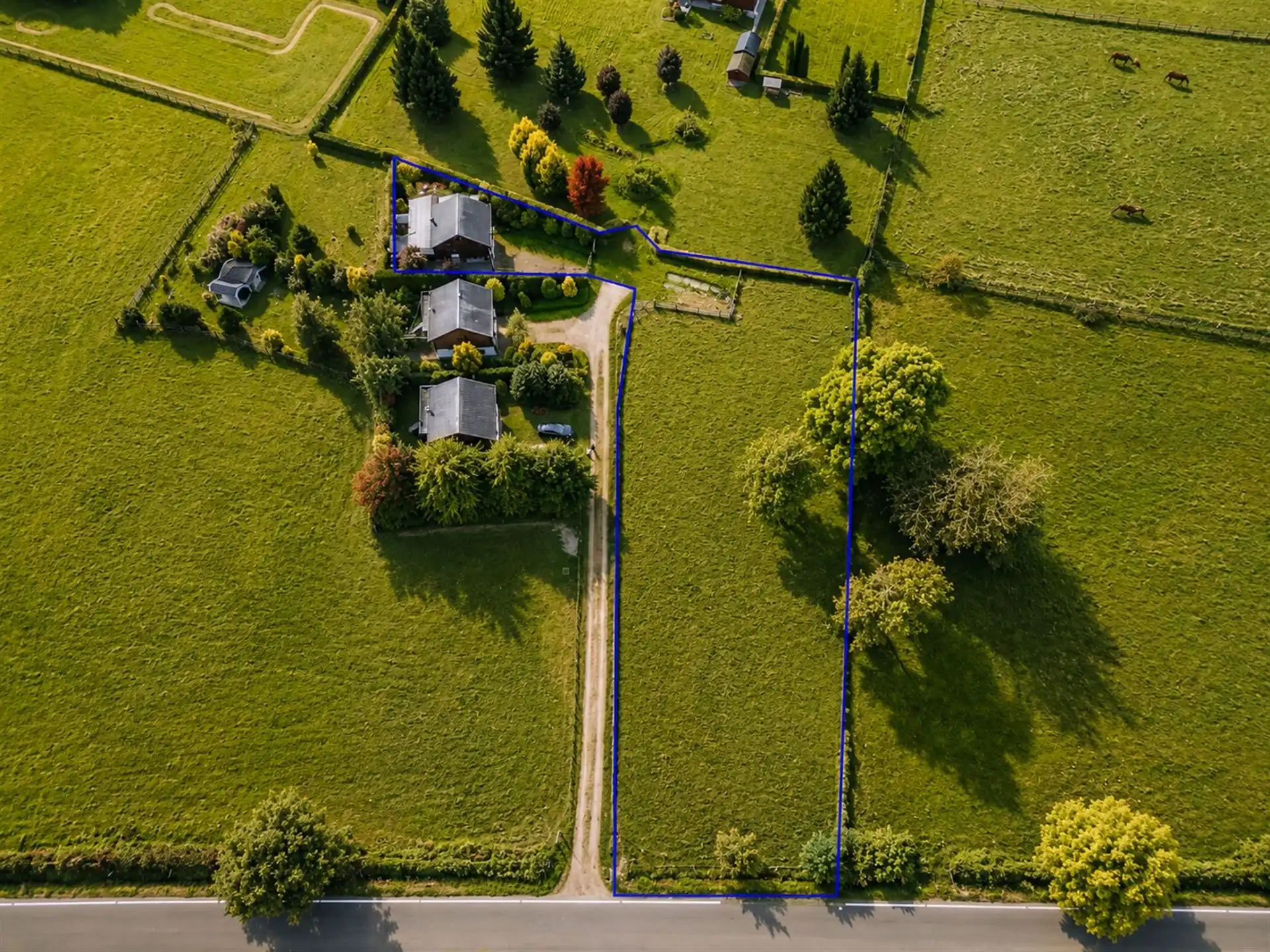 Charmante vakantiewoning op 2.801 m² aan de bosrand in Recht foto 2