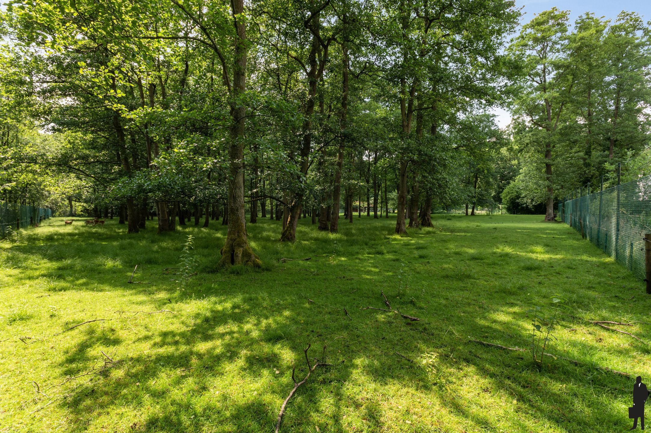 Bouwgrond - uniek domein op einde van een doodlopende straat foto 26