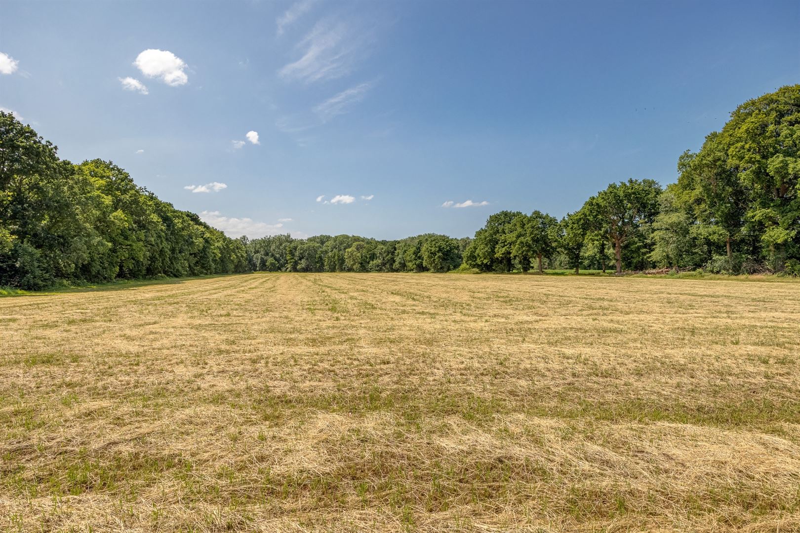 Wonen in het groen van 's-Gravenwezel stijlvol, duurzaam en rustgevend foto 10