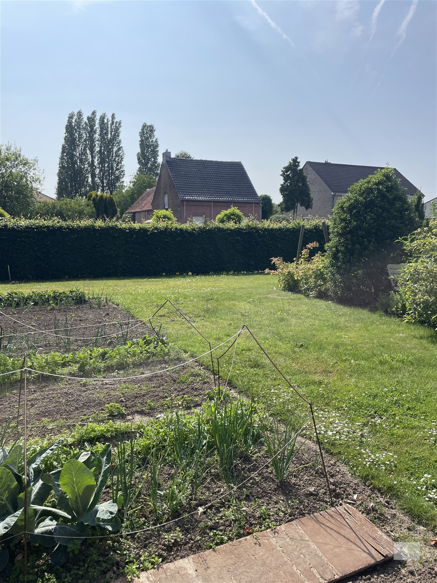 Bouwgrond op toplocatie voor open bebouwing foto 3
