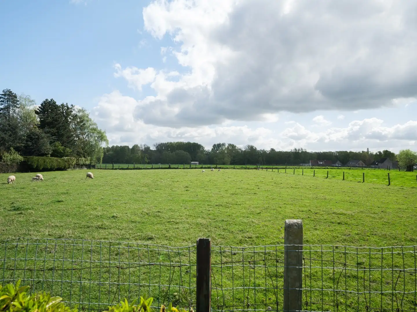 Rustig gelegen, halfopen woning met renovatiepotentieel foto 19