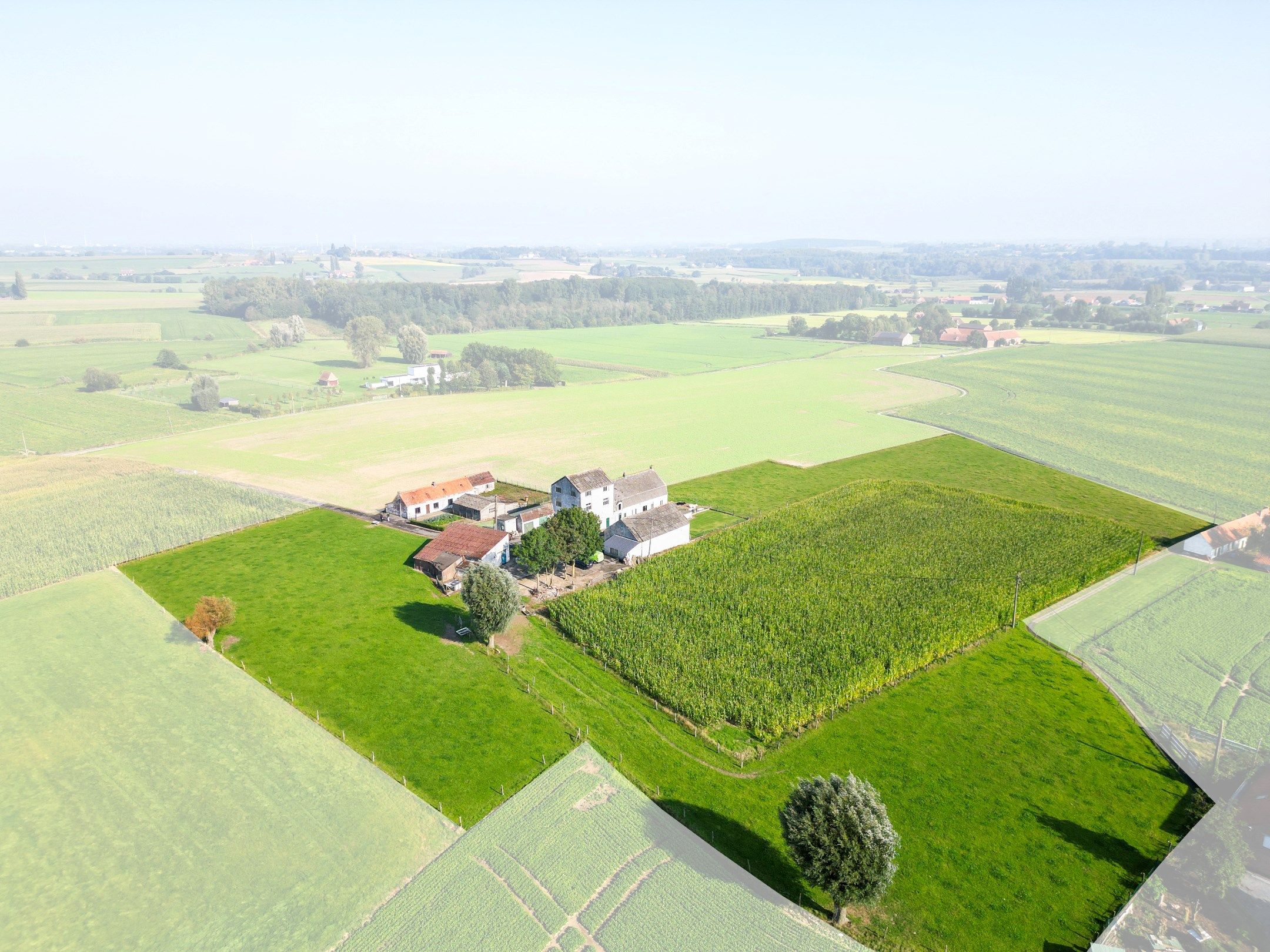 Hoofdfoto van de publicatie: UNIEKE LANDEIGENDOM OP 2,1 HA