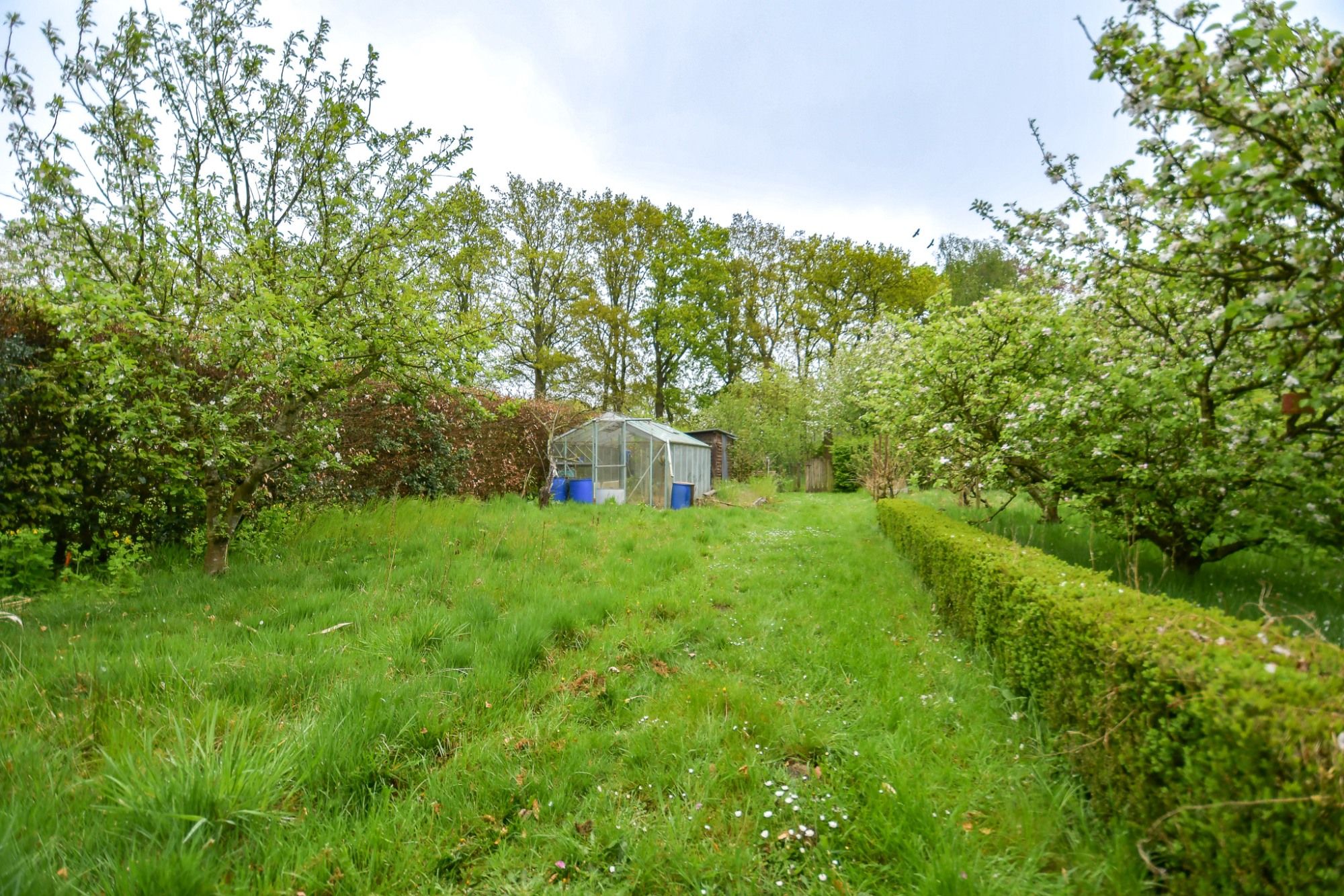GOED GELEGEN WONING met prachtige idyllische tuin en uitweg op een perceel van 2034 m² met landelijke uitzichten foto 3