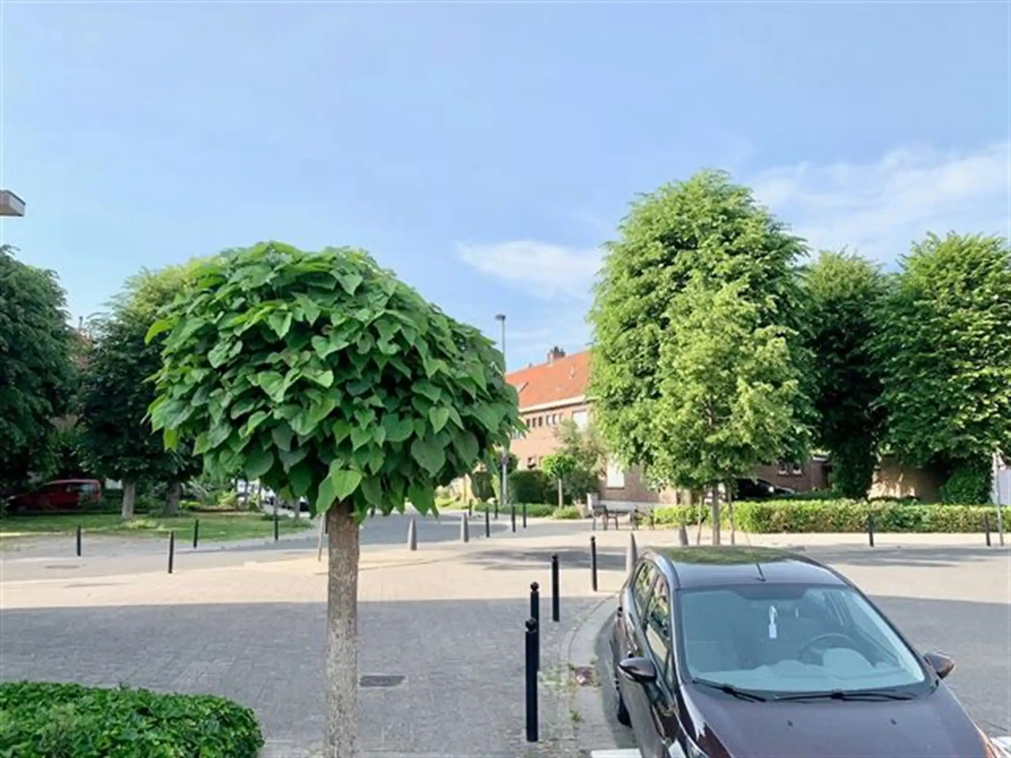 Uniek Pand van 385 m² met Onbeperkte Mogelijkheden foto 4