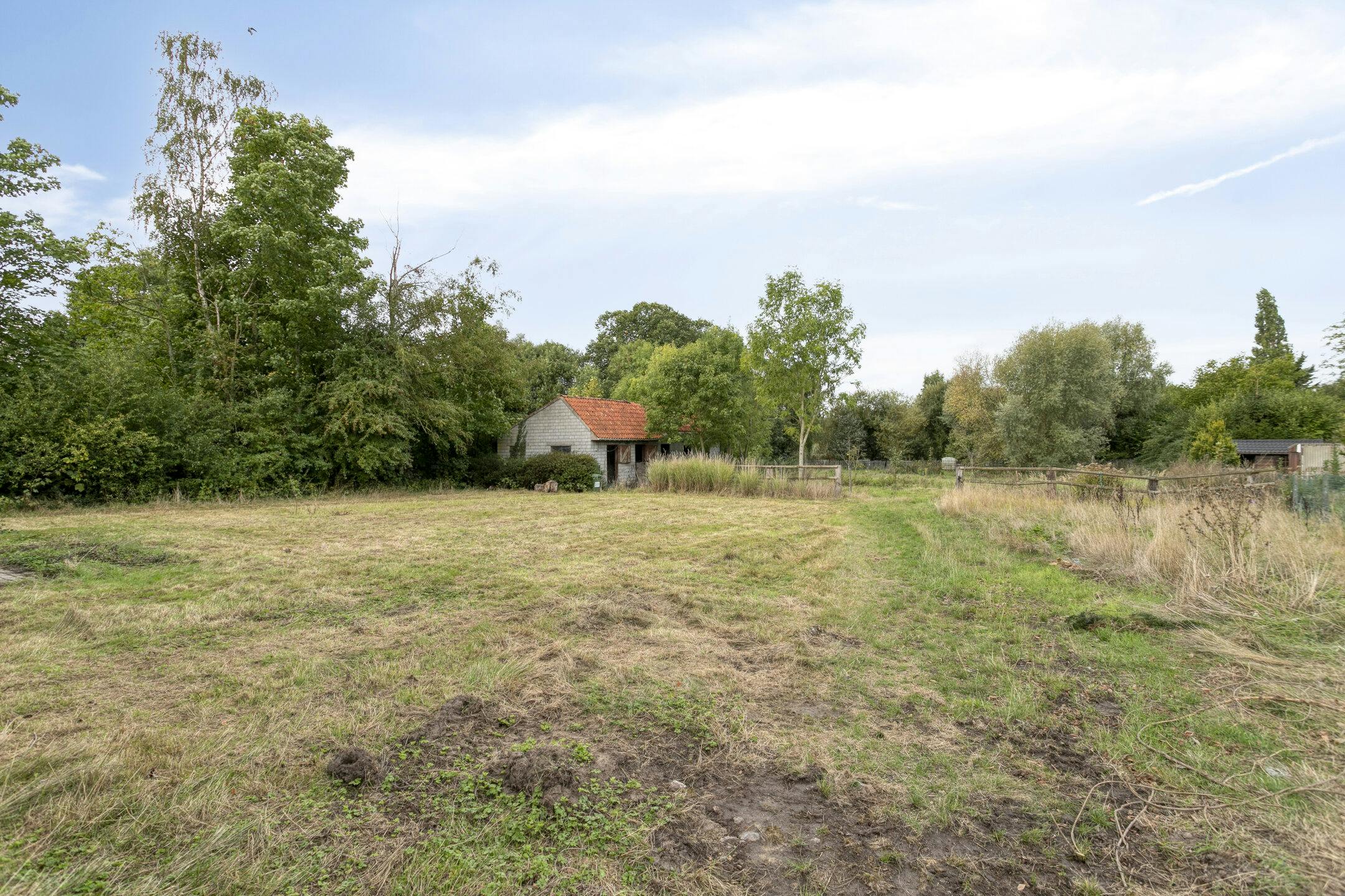 Villa te koop met weide op 3.520m² in Vlamertinge foto 16