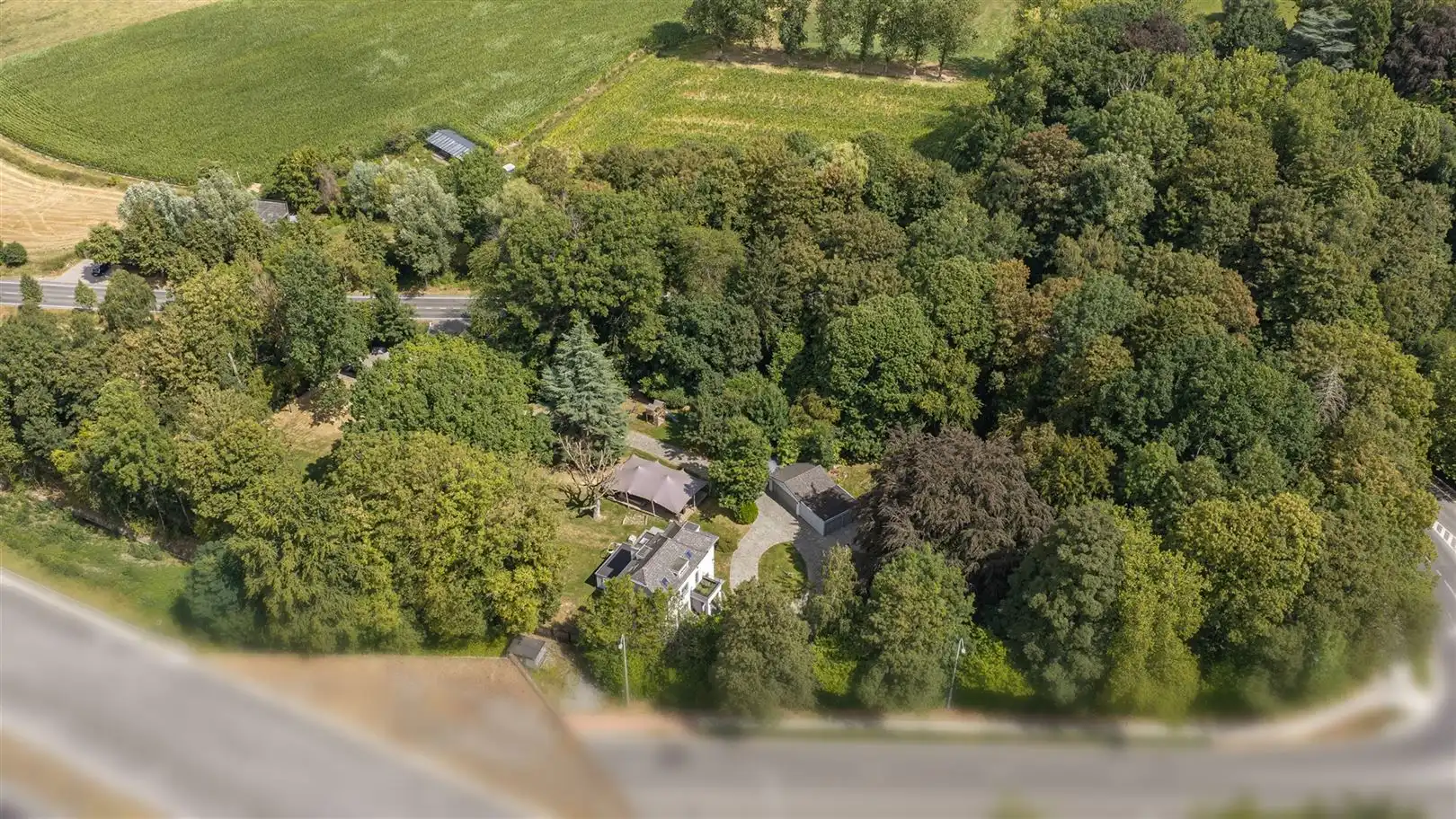 State-of-the-art villa tussen eeuwenoude bomen foto 44
