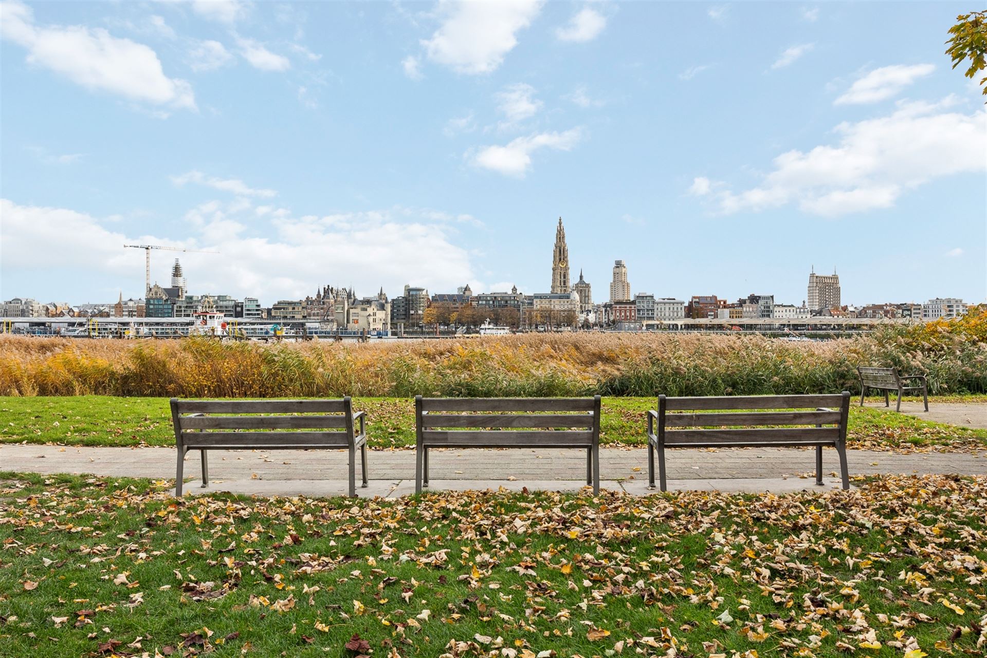 Licht en Energiezuinig Appartement met Uitzicht op Antwerpen foto 17
