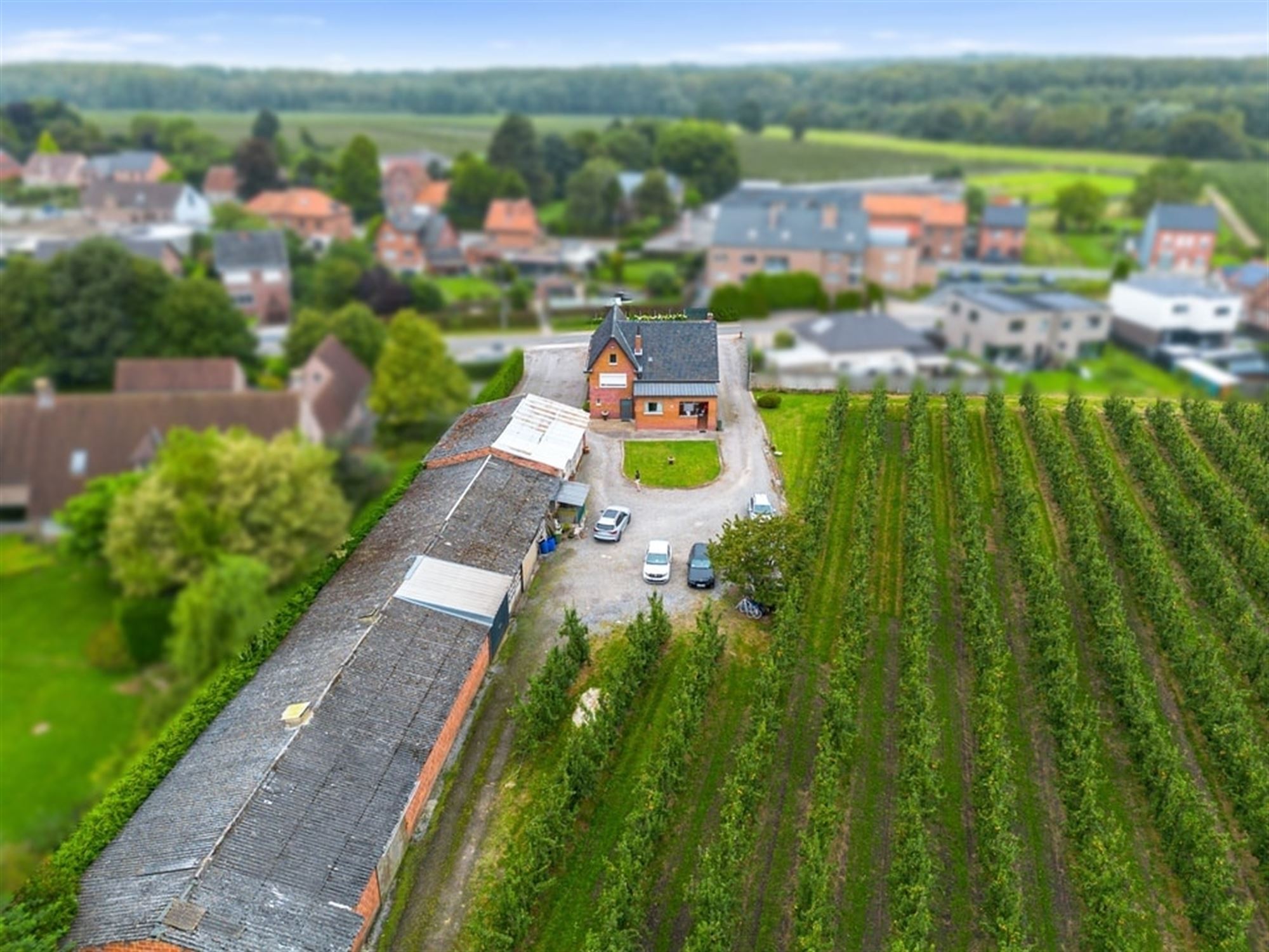 RUIME CHARMANTE GEZINSWONING MET VEEL POTENTIEEL OP EEN PERCEEL VAN MAAR LIEFST 1HA35A84CA IN SINT-TRUIDEN   foto 4