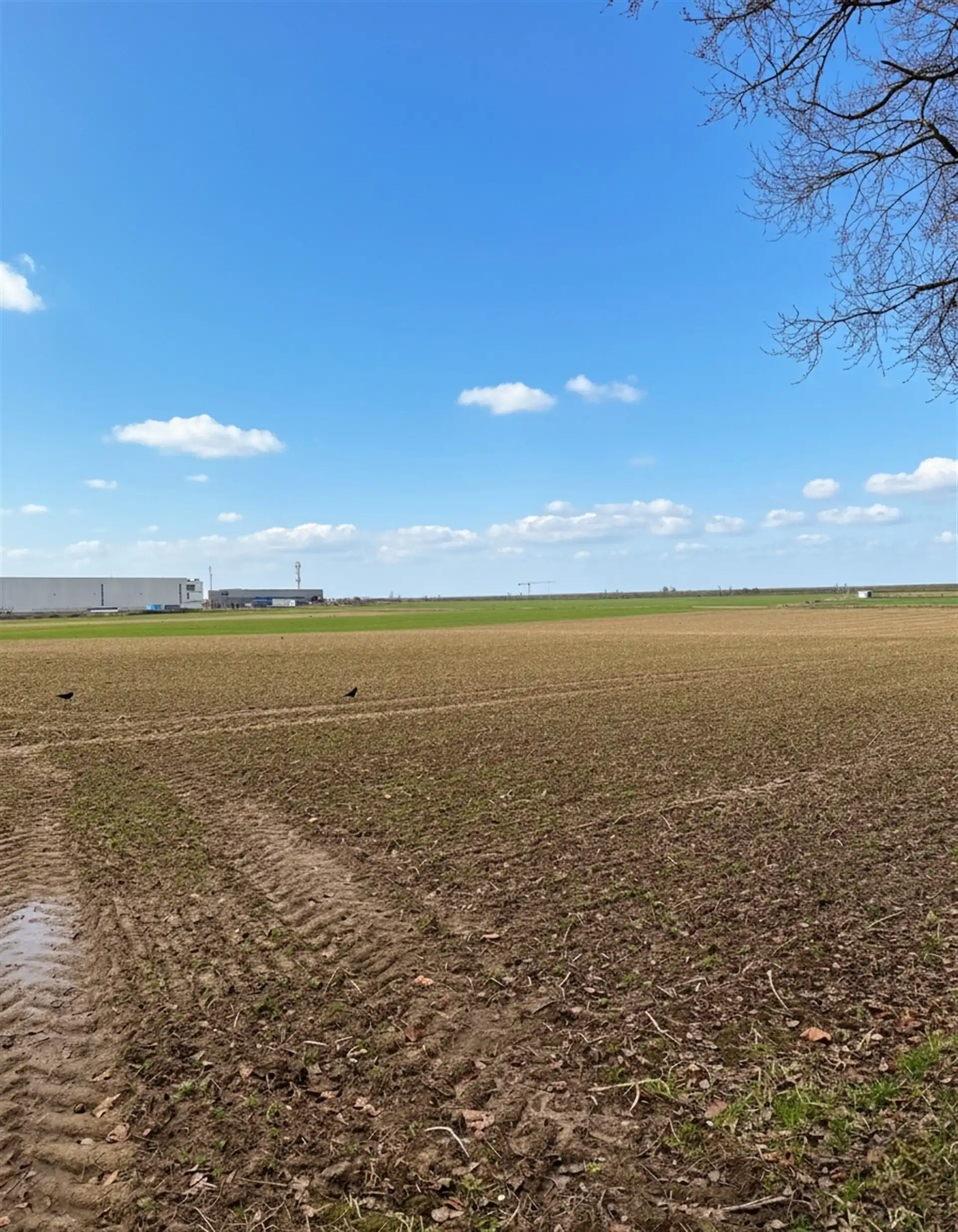 Landbouwgrond te koop!!! foto {{pictureIndex}}