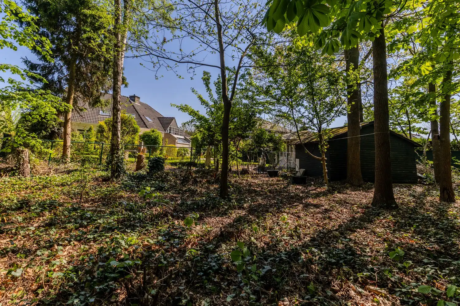 Ruime, instapklare vrijstaande woning met 5 slaapkamers en 3 badkamers in het gezellige Neerharen! foto 48