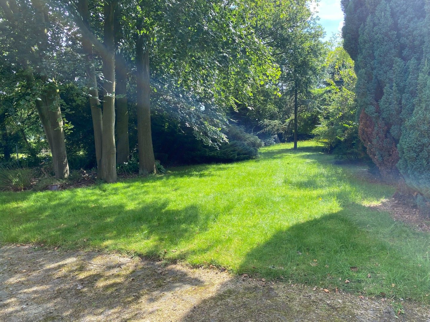 Hoeve met stallingen, bijhuis en grote schuur op een ruim perceel in Lembeke foto 3