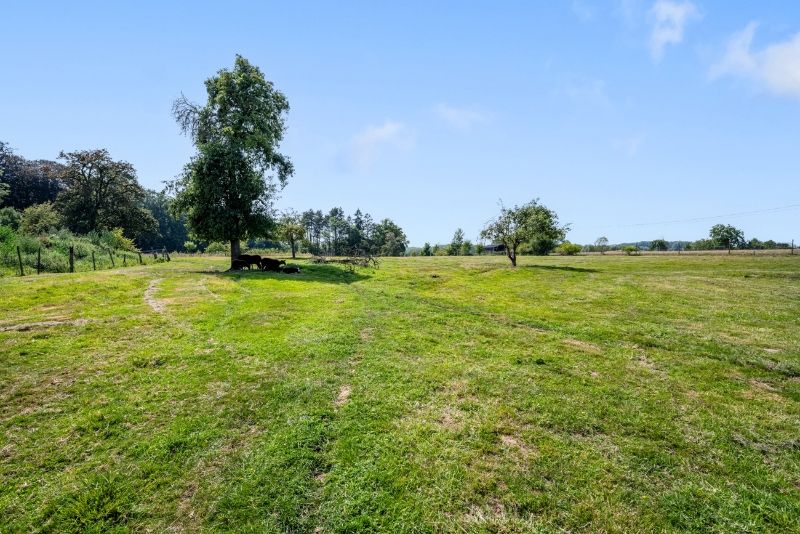 Te renoveren en te verbouwen authentieke vierkantshoeve uit de 18e eeuw foto 8