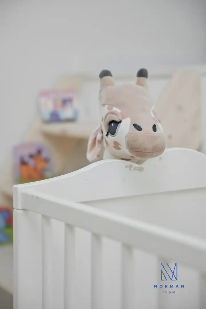 Volledig gerenoveerde woning te koop in het centrum van Ingelmunster met 3 slaapkamers. foto 16