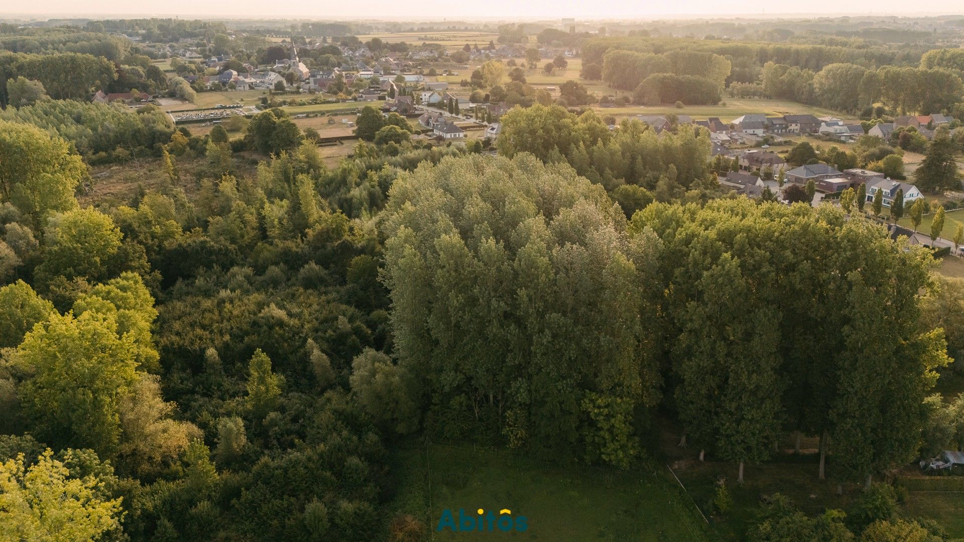 Bosgrond van 11.800 m² foto 14