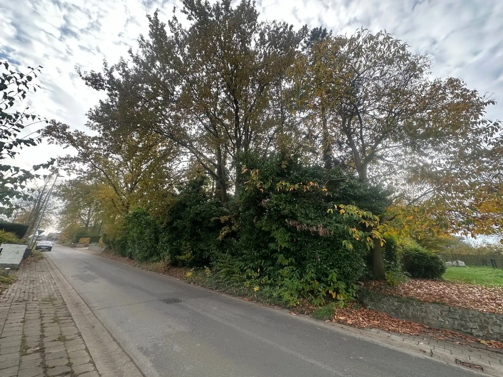 Bouwgrond OB 900 m2 aan Beerzelberg te 2580 BEERZEL foto 2