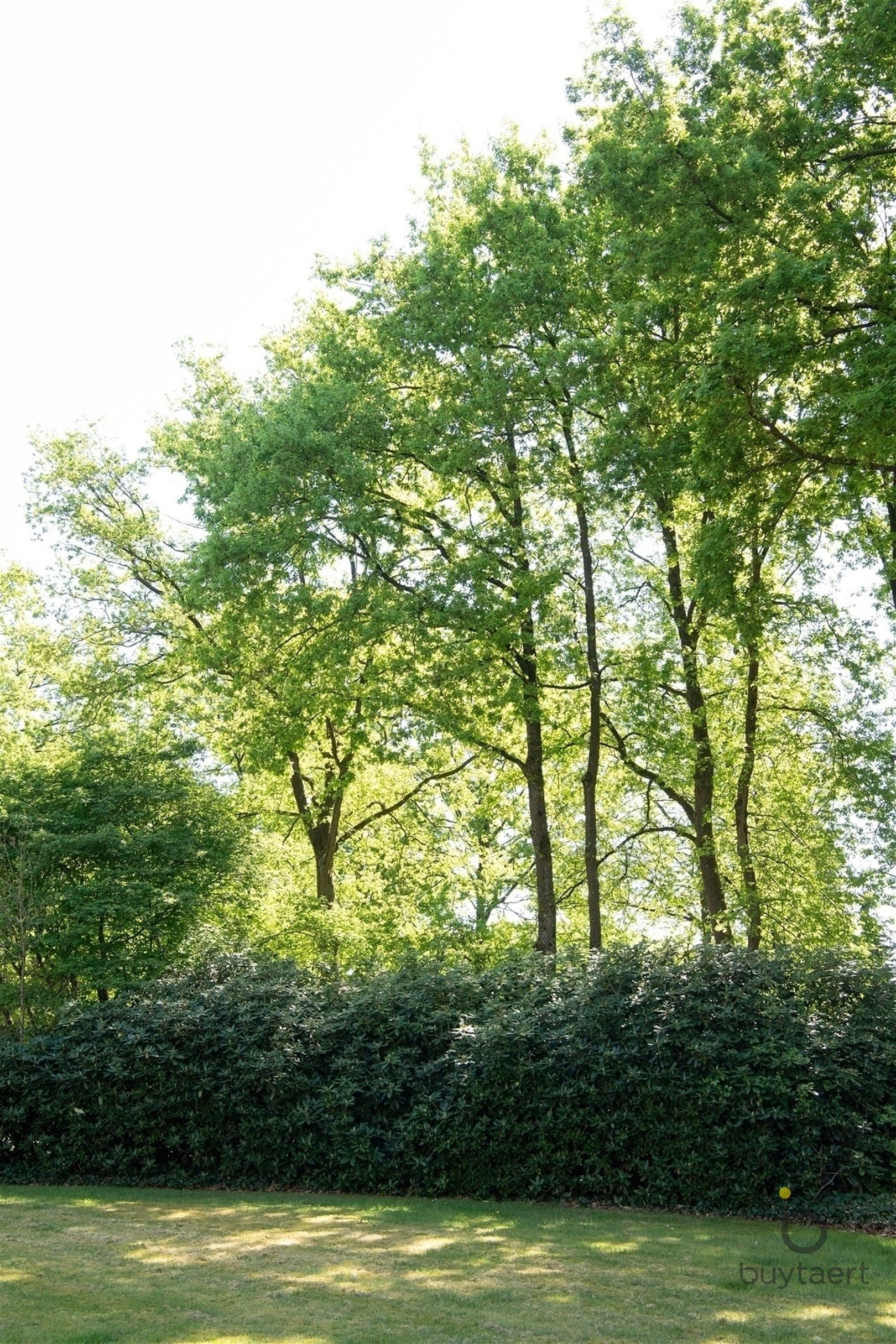 Gezellige MANOIRE villa in een aangename omgeving te Halle / Zoersel! foto 38