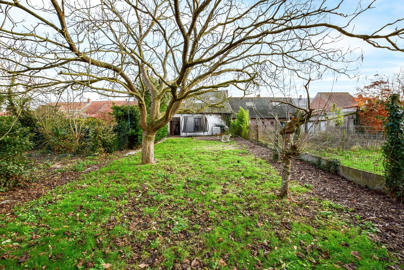 KIJKDAG ZATERDAG 03/01 VAN 10U TOT 12U! foto 24