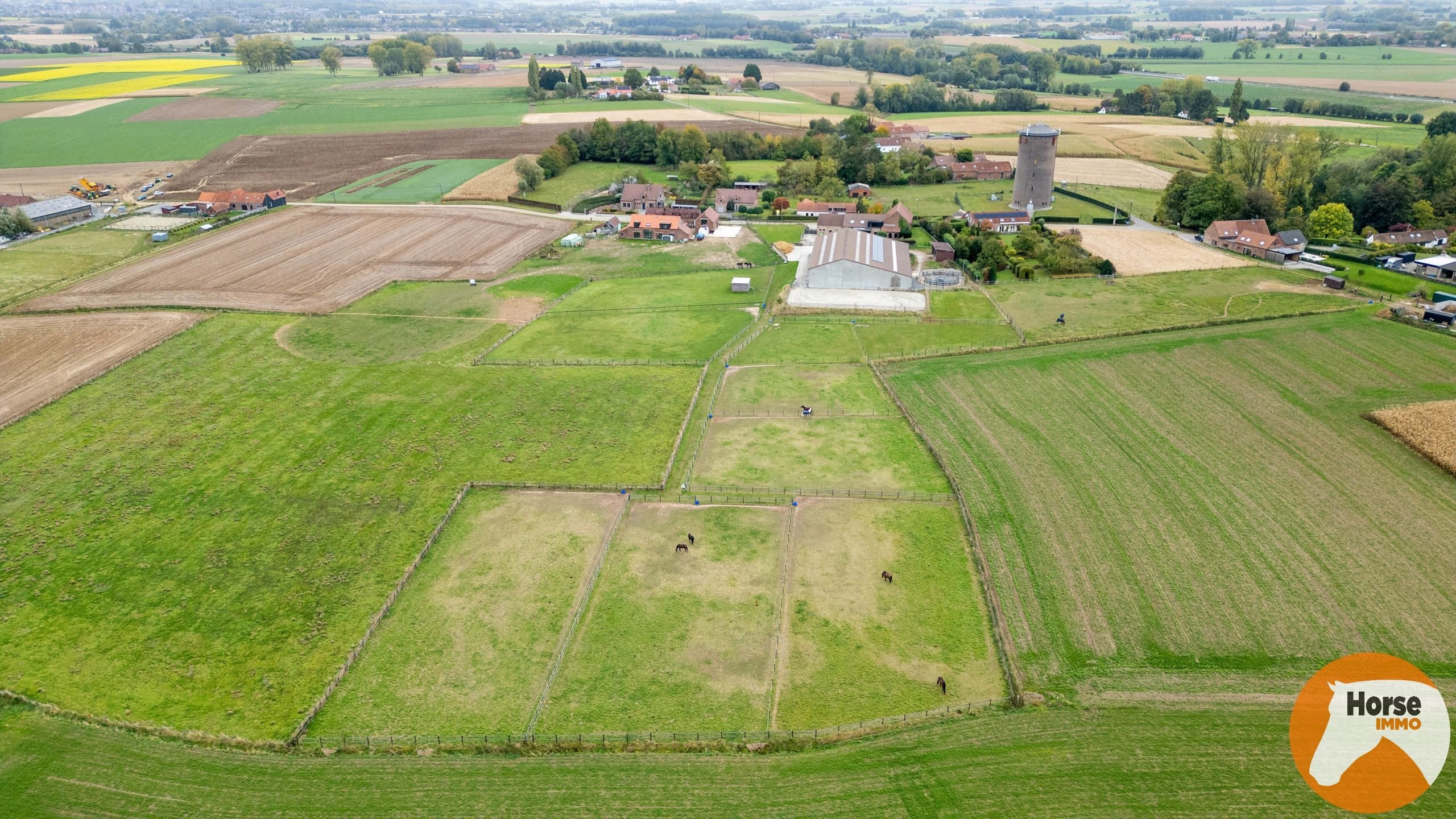 HERNE - Paardenaccomodatie met woning op 2,4ha foto 34