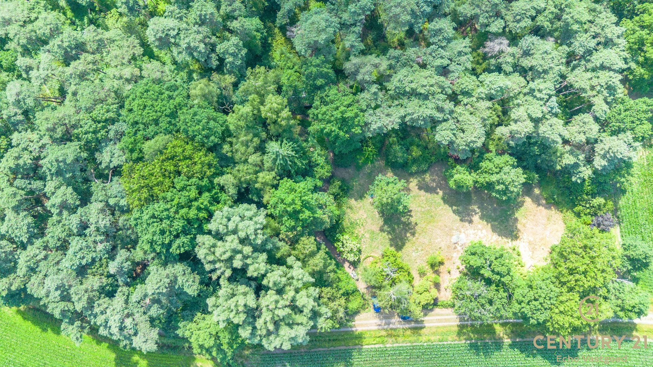 Volledig te renoveren vakantiechalet op een royaal perceel foto {{pictureIndex}}