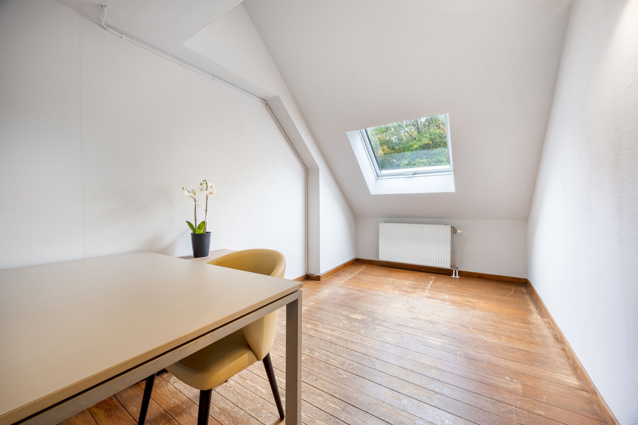Handelspand met appartement te koop op toplocatie in Kapellen. foto 29