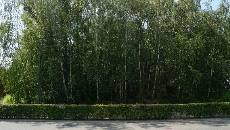 Bouwgrond 8 are 50 ca voor open bebouwing vlakbij centrum en met mooi achterzicht op groene omgeving foto 3
