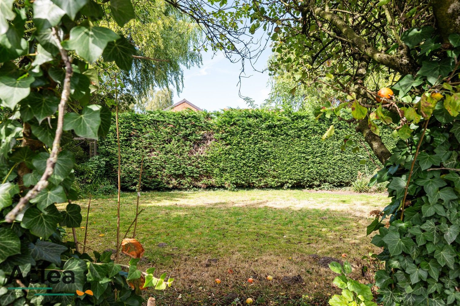 Ruime halfopen bebouwing met 5 slpks op strategische locatie in Zomergem foto 38