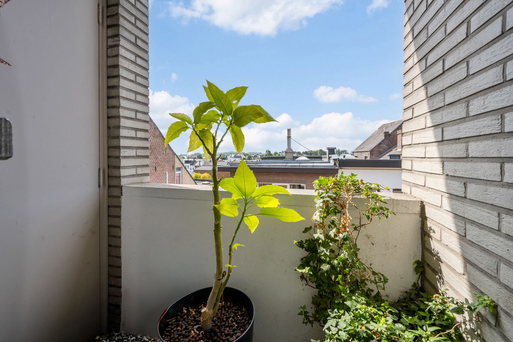 Opbrengsteigendom met 3 appartementen + handelsruimte foto 10