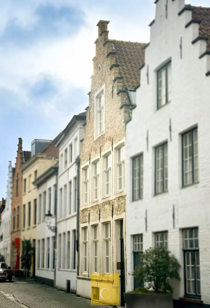 exclusief trapgevelhuis met lift en terras en tuin aan de rei nabij Sint-Jakobskerk en palend aan het Sebrechtspark foto {{pictureIndex}}