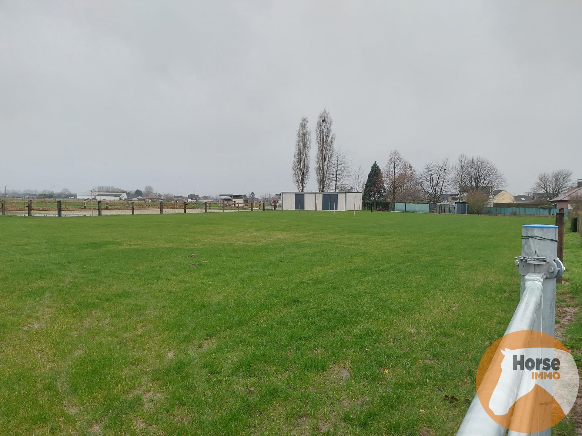 LEDE- Volledig aangelegde weide met praktisch stalgebouw foto 1