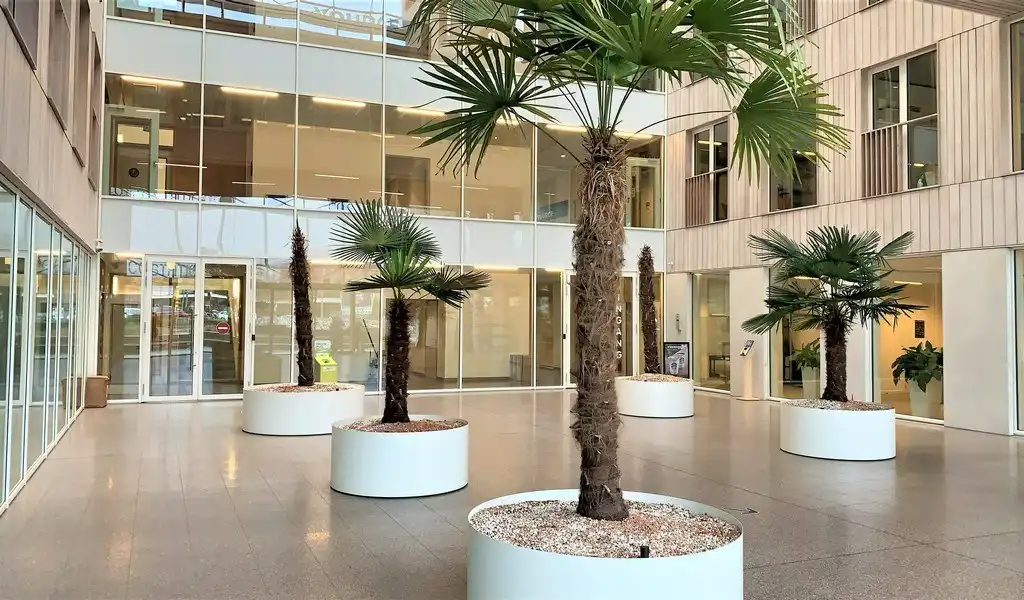 Gemeubeld kantoor in businesscenter Talentarena aan Dampoort station foto 16