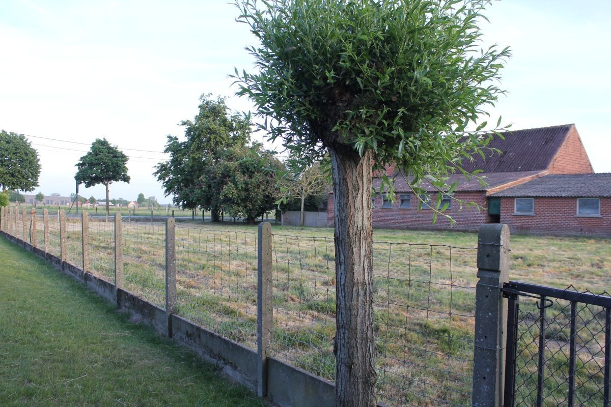 Hoevetje met residentiële woning en stallen te koop op 1 ha te Staden en Hooglede foto 7