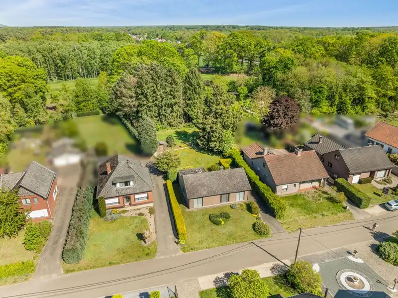 Gelijkvloerse bungalow op een perceel van 20are foto 30