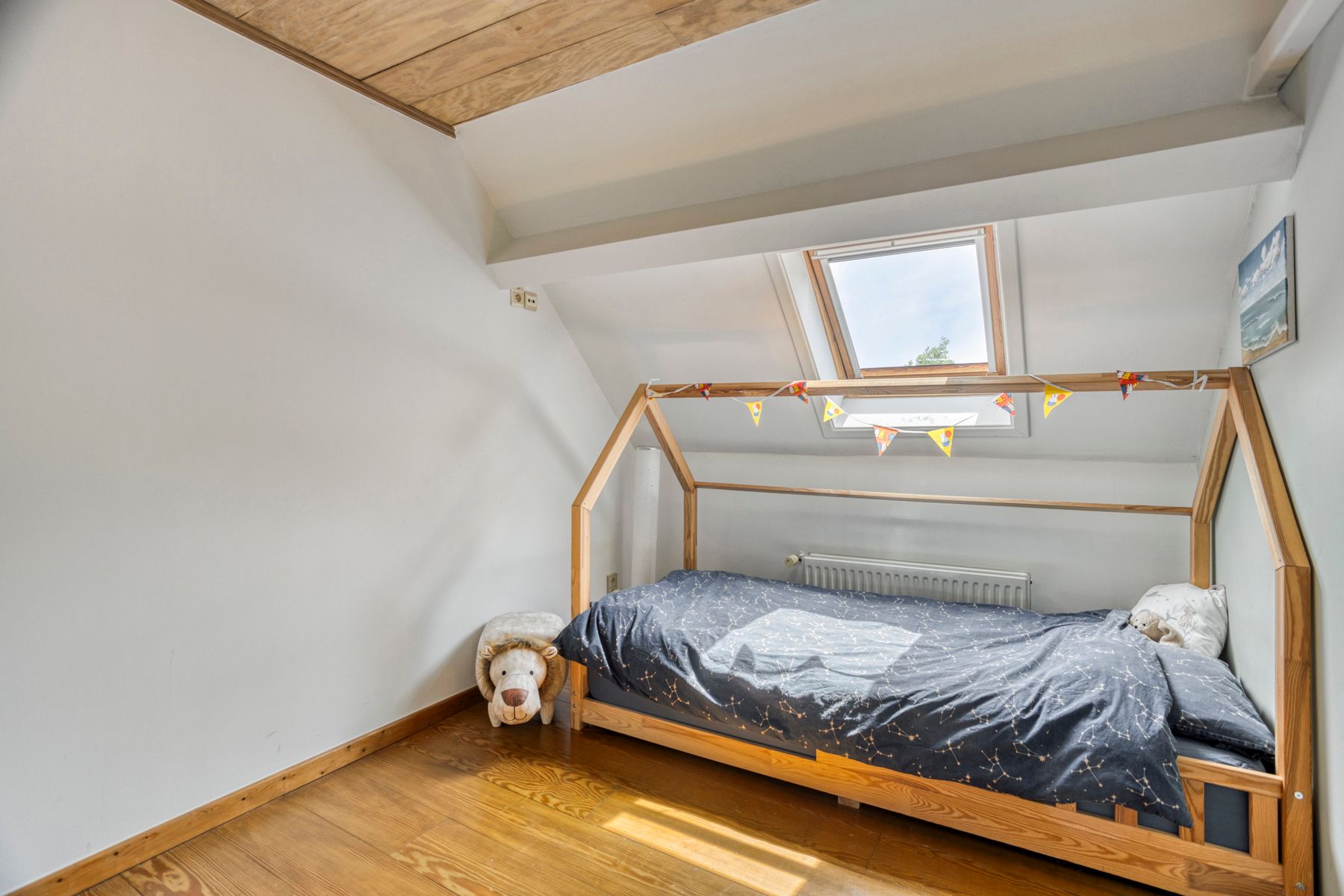 Huis te koop foto 19