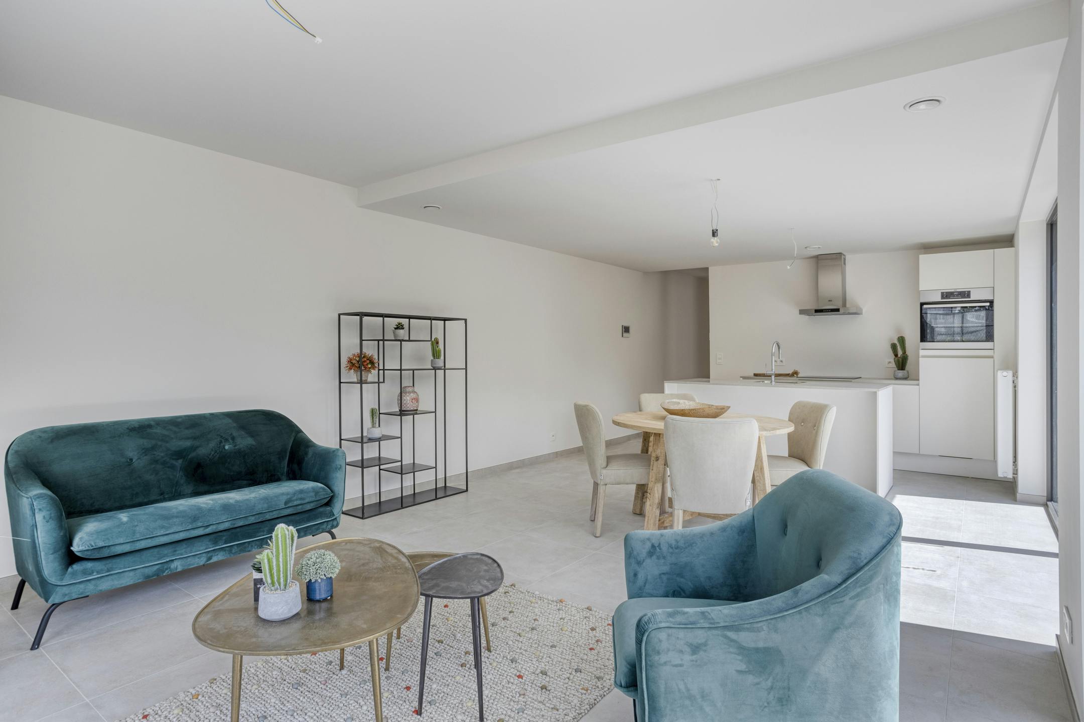 INSTAPKLAAR BEN-APPARTEMENT IN BAZEL MET 2 SLAAPK. + TUIN foto 4