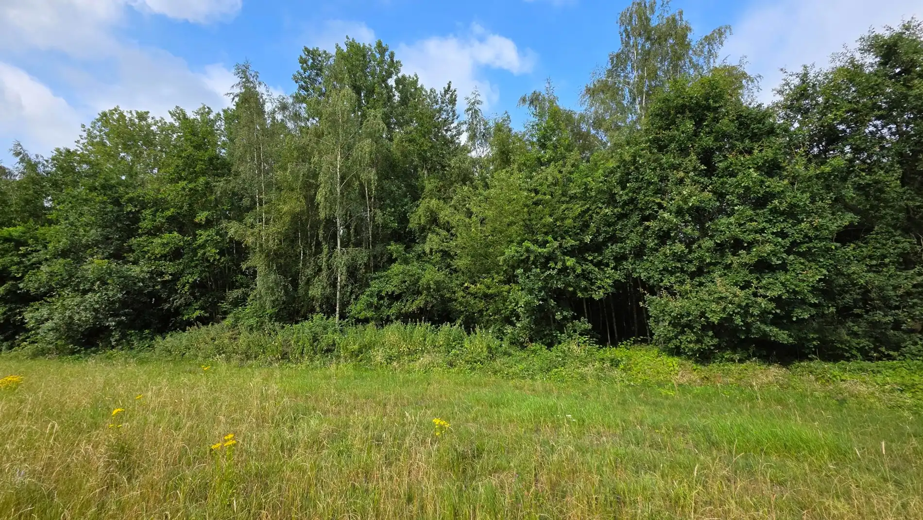 GROEN PERCEEL VAN 3.410 M² IN BETEKOM foto 7