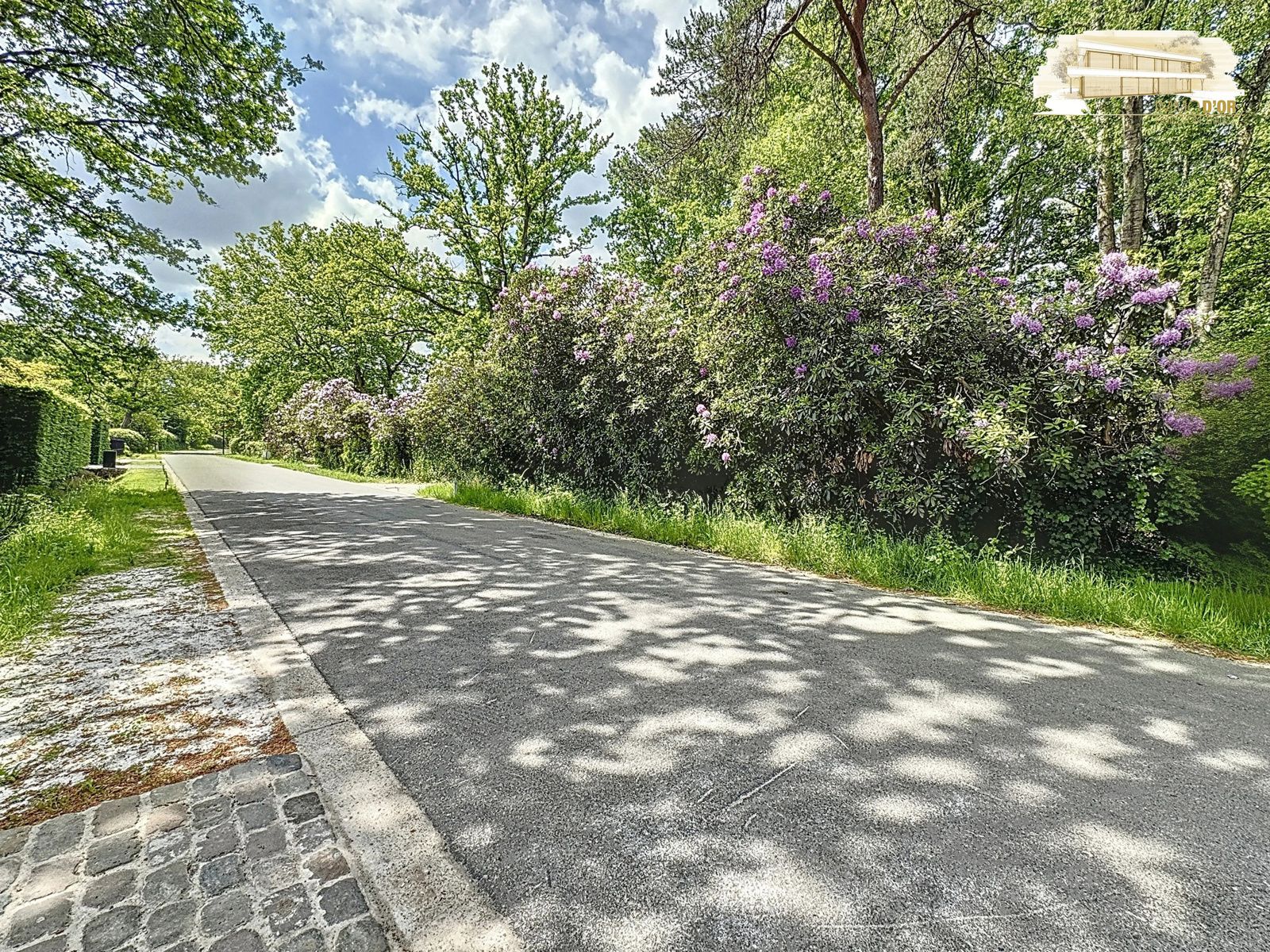 Bouwgrond te Hof ter Linden in 's-Gravenwezel! foto 2