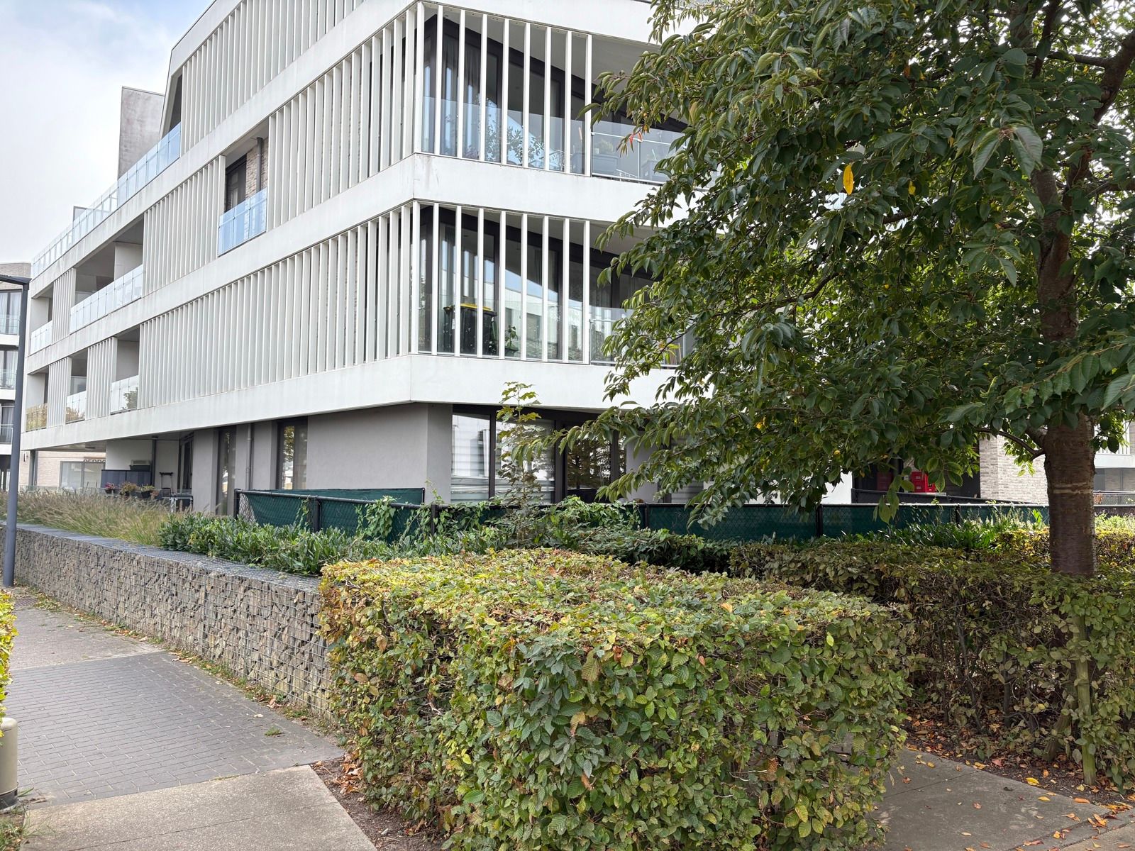 Grote glaspartij naar tuin/terras + recent esthetisch gebouw foto 18