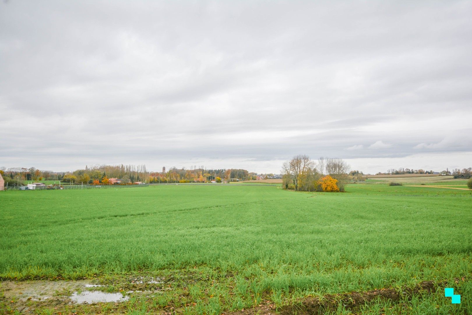 Landelijk gelegen nieuwbouw villa te Zonnebeke foto 9