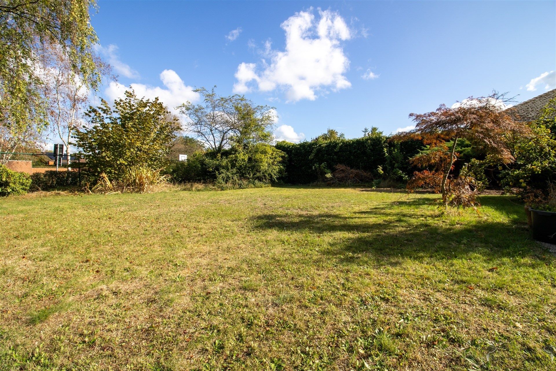 huis foto 3