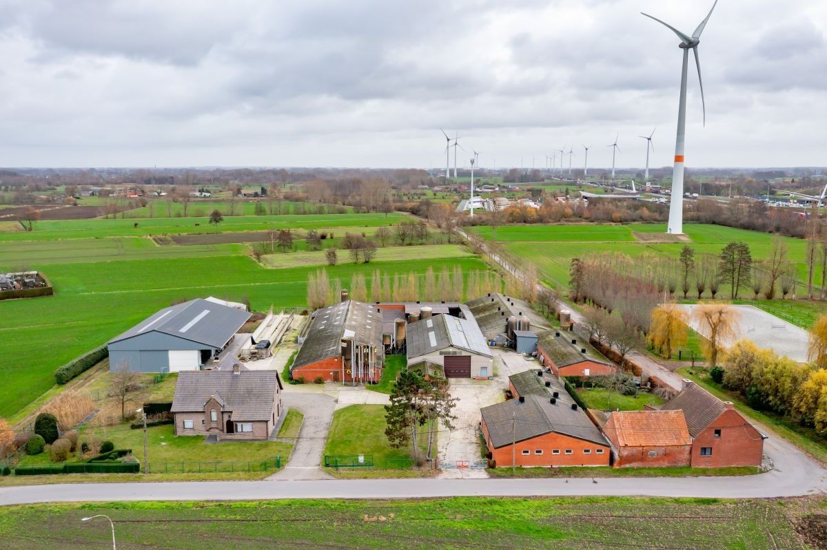 Varkensbedrijf te koop te Lochristi foto 6