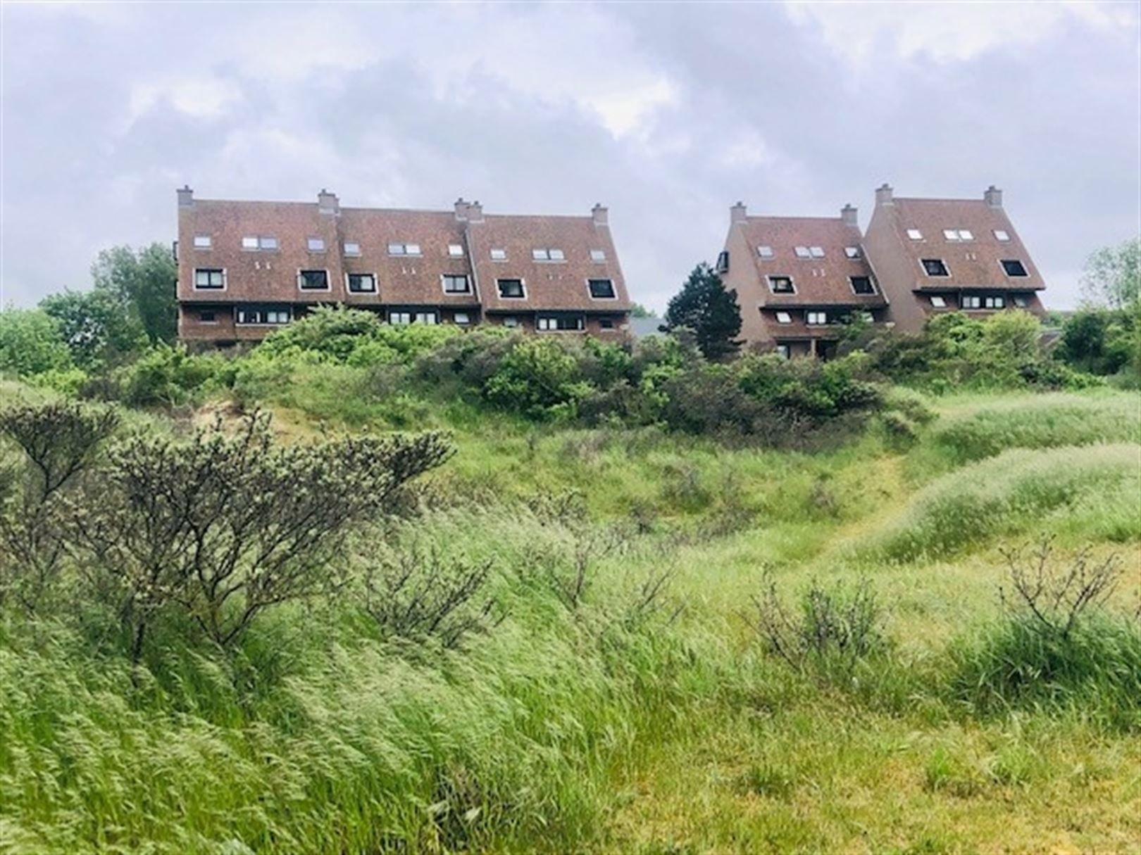 Zuidgericht appartement met groot terras en prachtig duinenzicht op toplocatie! foto 8