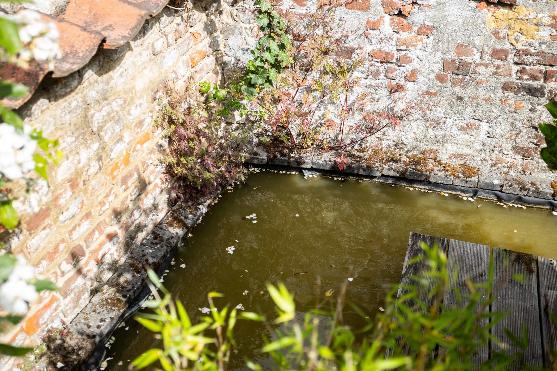 Stijlvolle rijwoning in hartje Geraardsbergen met tuin foto 18