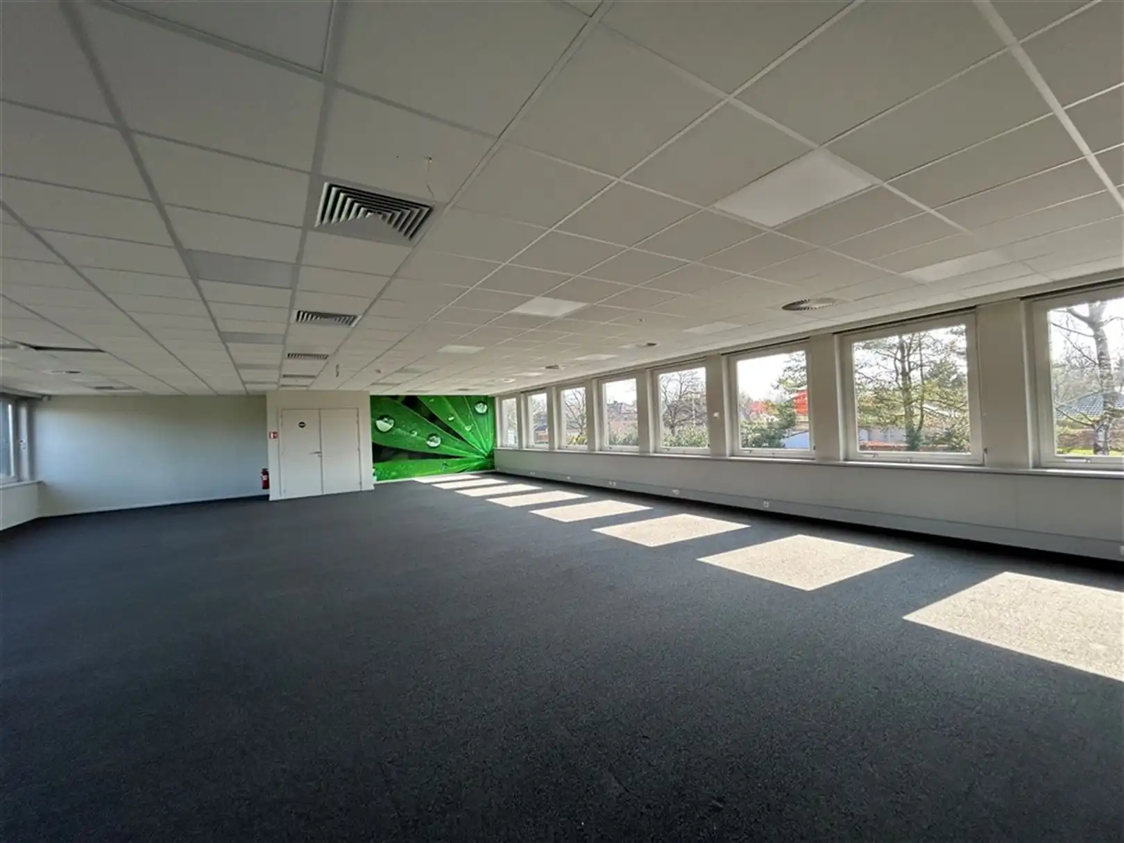 Multifunctioneel kantoorgebouw met veel parking te Houthalen foto 11